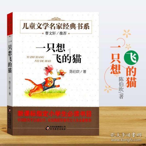 “只招到四个人”的昆明民办学校:总有家长带孩子请假,公办学校招生放宽后,学校想走高端路线谋出路