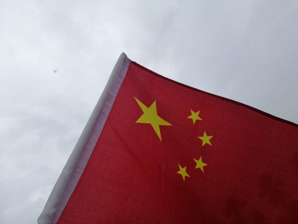 逃离天鹅森林