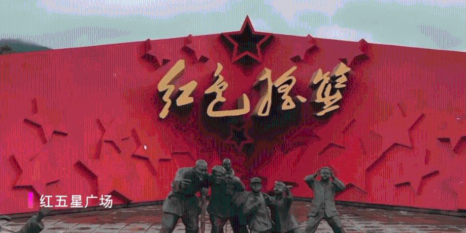 度假的时尚女孩
