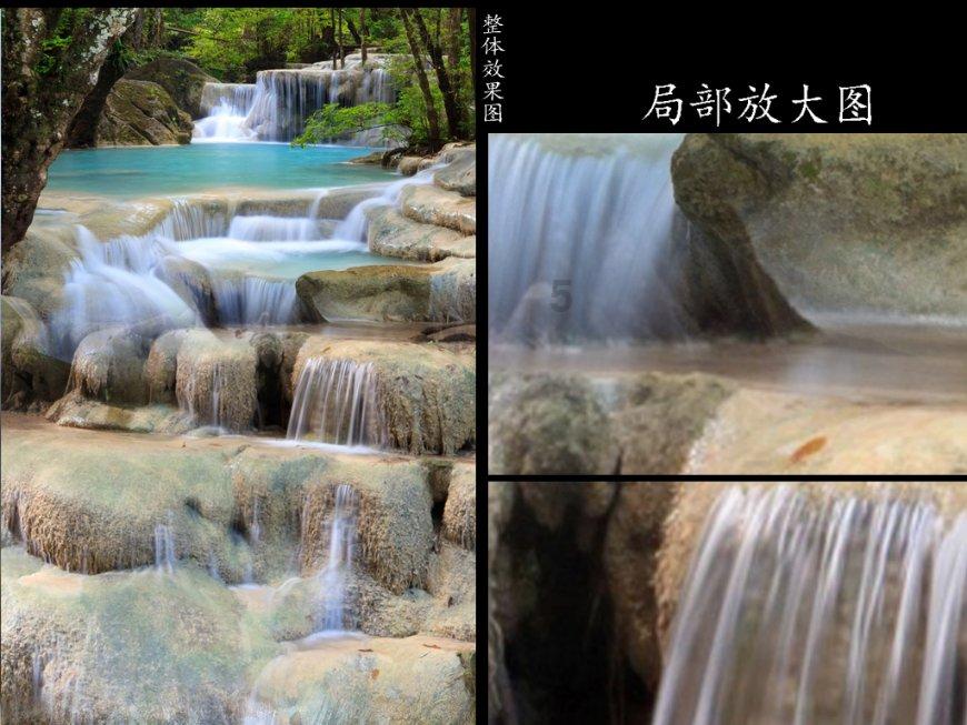 逃出茂密的丛林