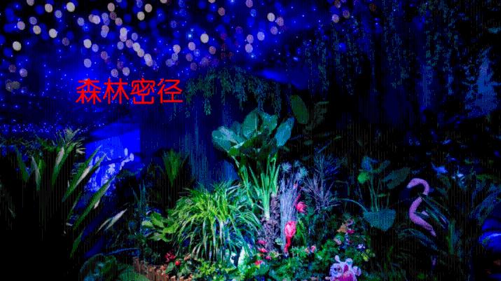 救援矮小的女孩